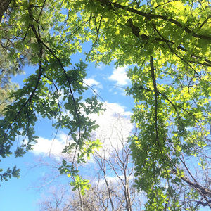 Meet your Posher, Emma